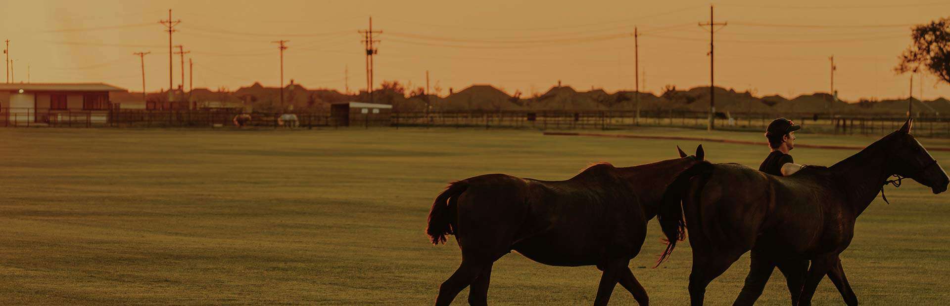 West Texas polo fields
